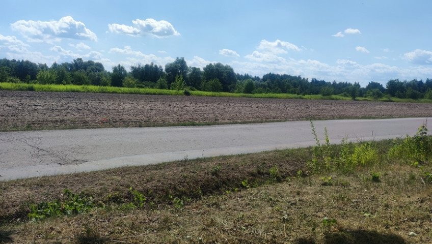 Działka Sprzedaż Borzęcin Duży Spacerowa
